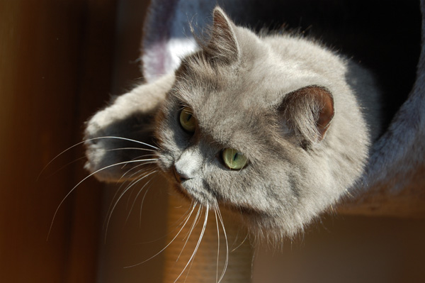 alles unter Kontrolle...jpg